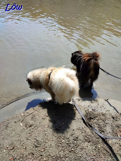 17.8.2024 - Endlich Wasser